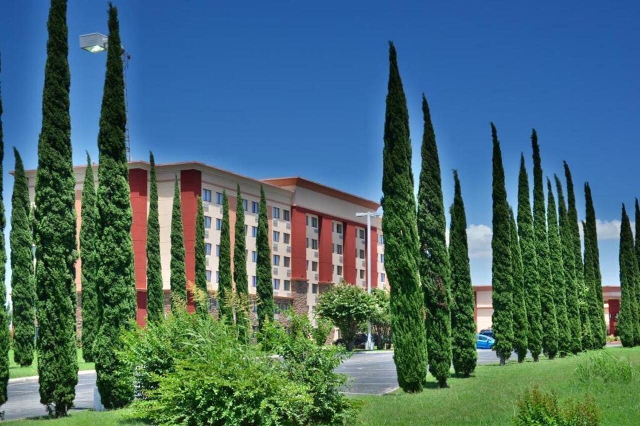 Lux Hotel & Spa, Trademark Collection By Wyndham Arlington Kültér fotó